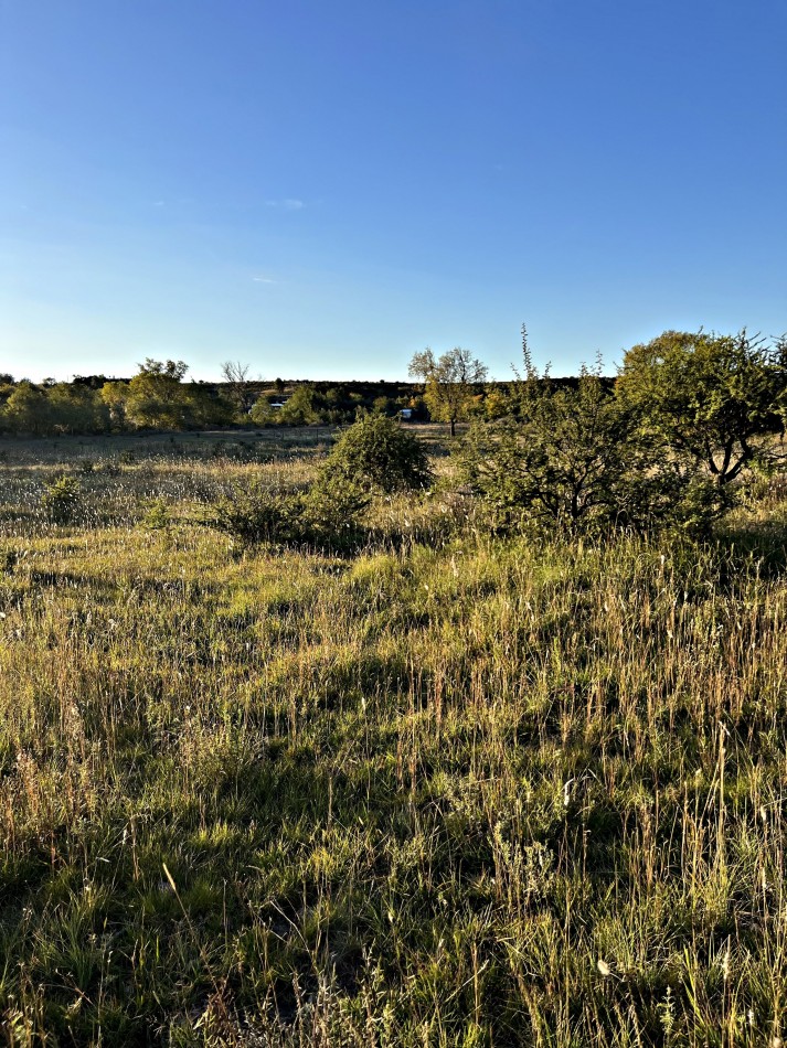 Lotes de 700 m2 en Villa Giardino