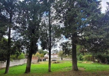 Lote de 1200 m2 en venta, La Reja centro
